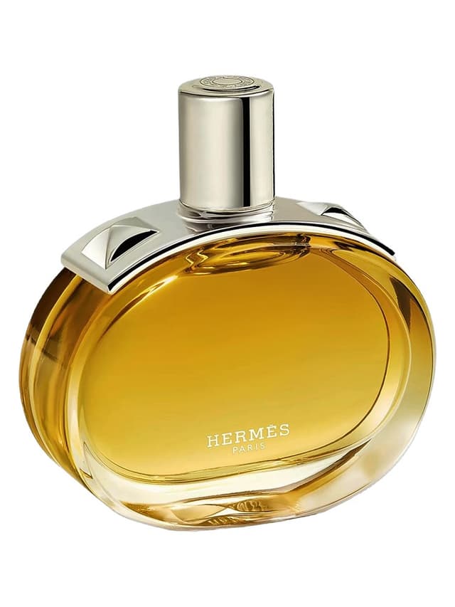 Hermès Barénia Intense