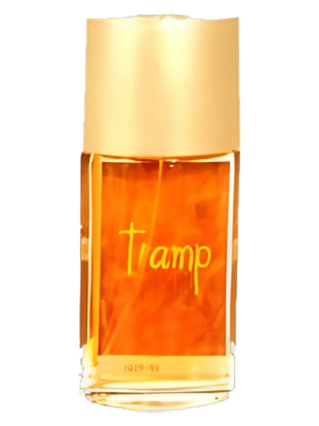 Mayfair Tramp