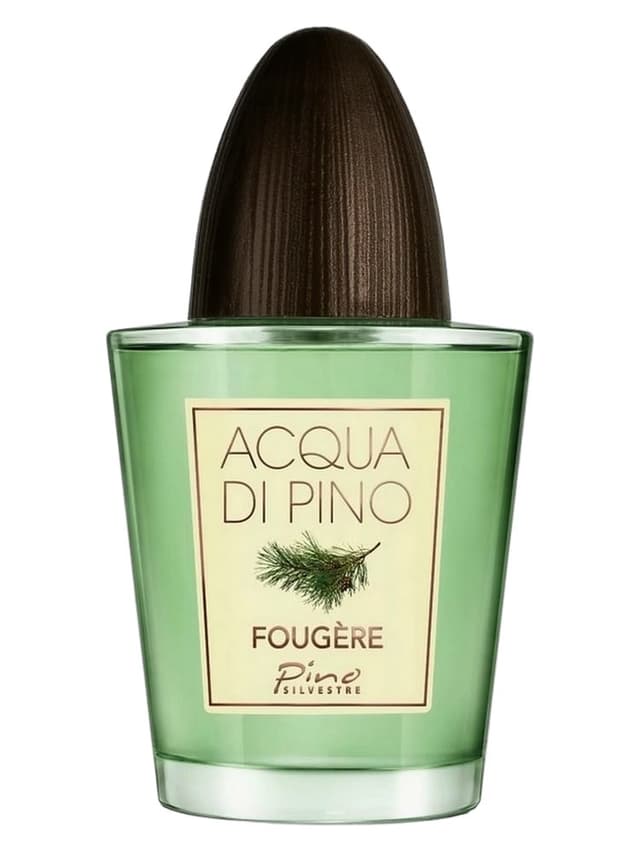 Pino Silvestre Acqua di Pino Fougere