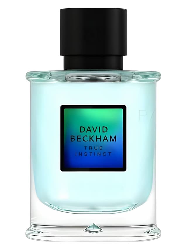 David Beckham David Beckham True Instinct