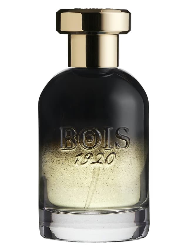 Bois 1920 Centenario
