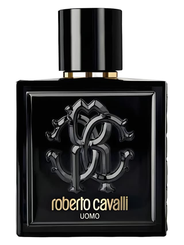 Roberto Cavalli Roberto Cavalli Uomo
