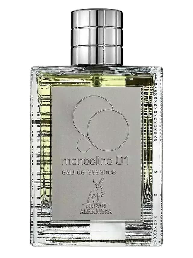Maison Alhambra Monocline 01