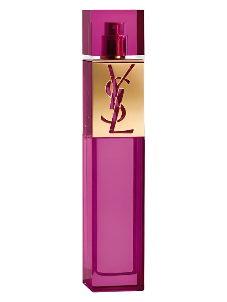 Yves Saint Laurent Elle
