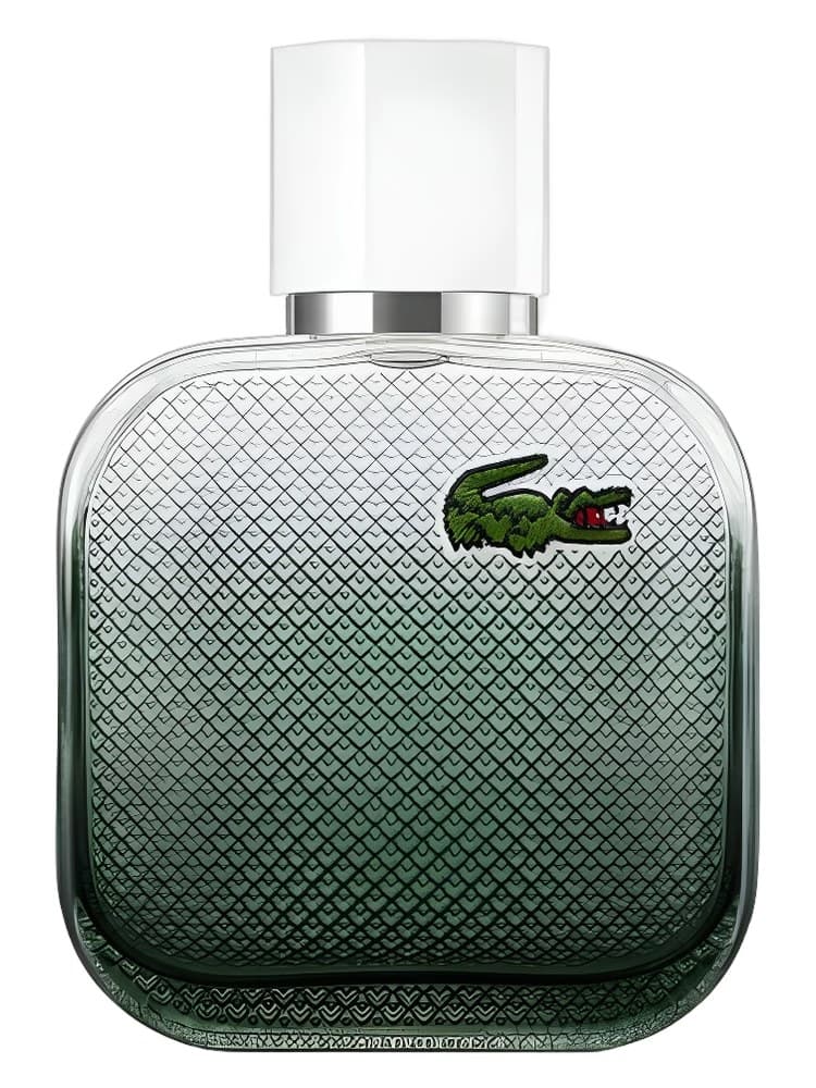 Lacoste Fragrances L.12.12. Blanc Eau Intense