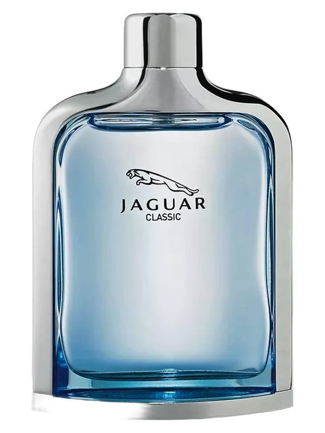 Jaguar Jaguar Classic