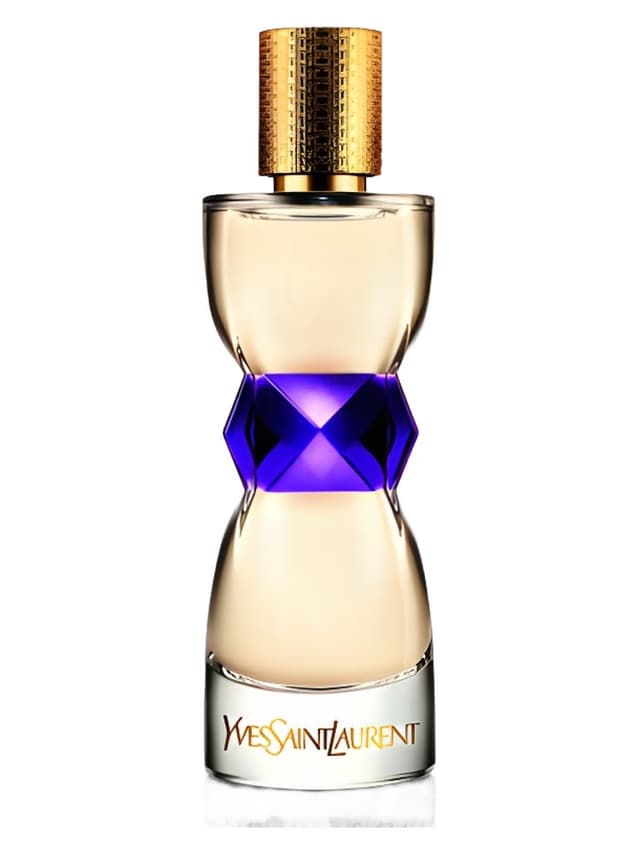 Yves Saint Laurent Manifesto