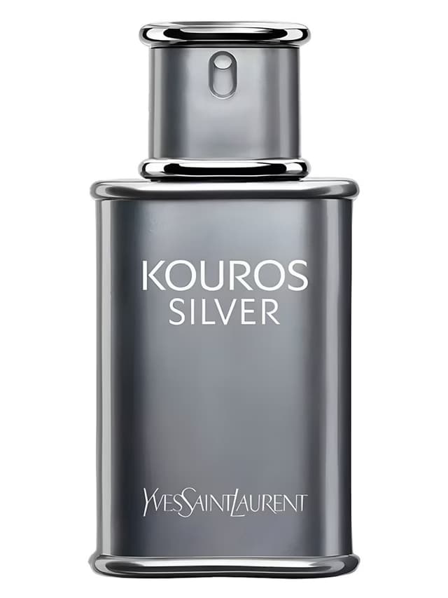 Yves Saint Laurent Yves Saint Laurent Kouros Silver