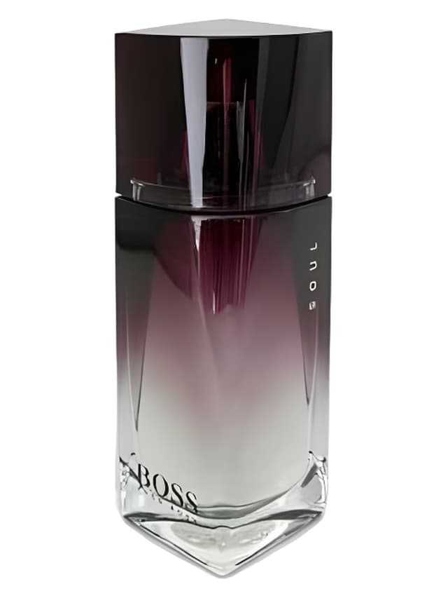 Hugo Boss Boss Soul