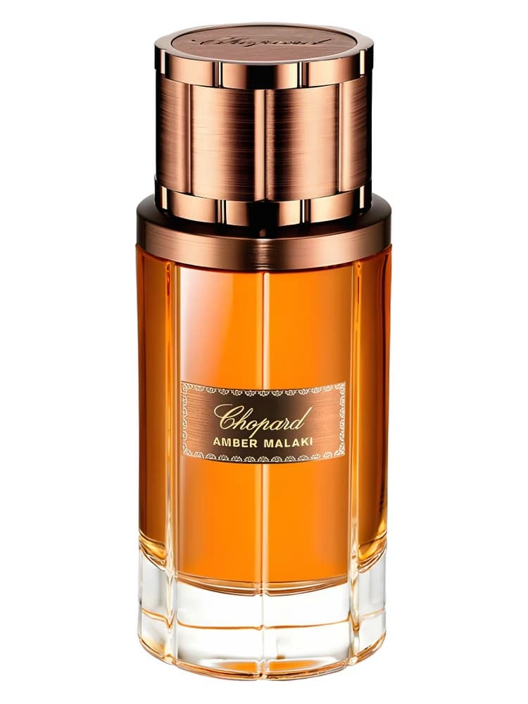 Chopard Amber Malaki