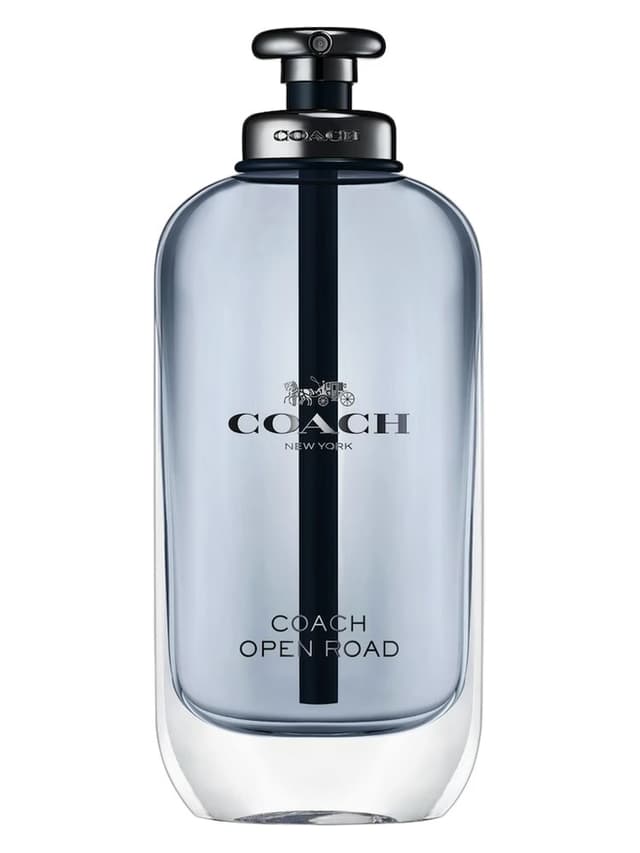 Coach Open Road