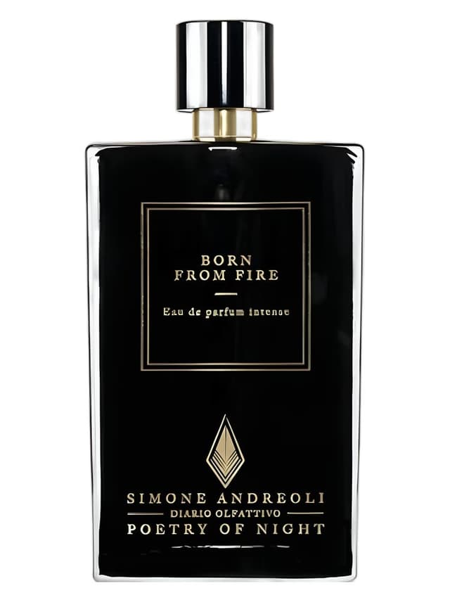 Simone Andreoli Born From Fire