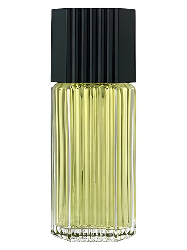Estée Lauder Lauder for Men