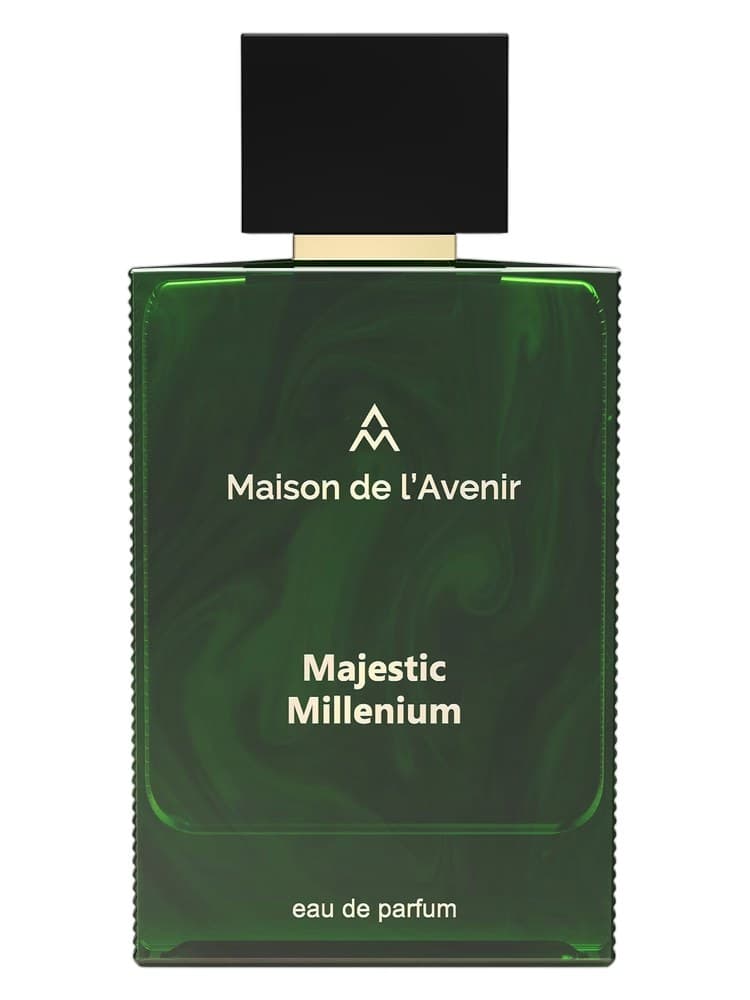 Maison de l'Avenir Majestic Millenium