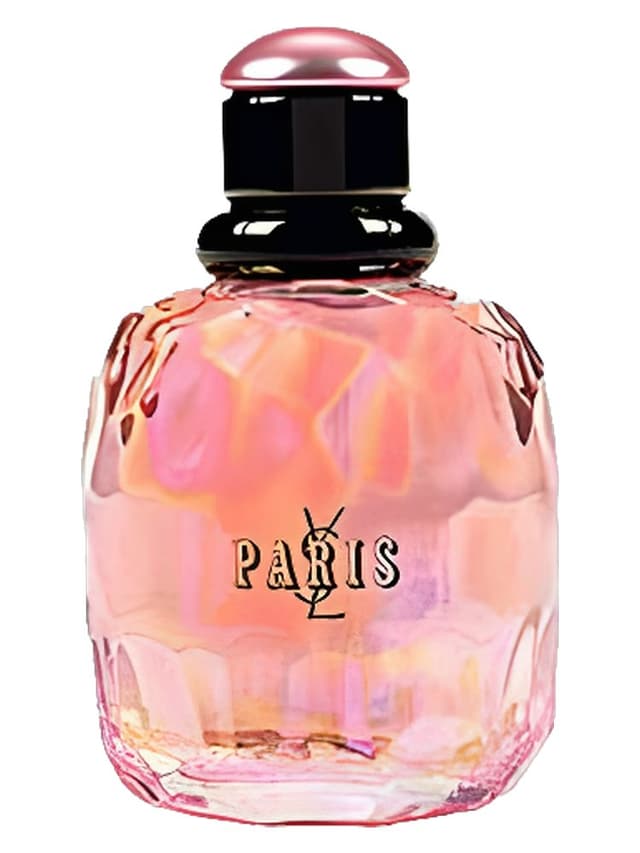 Yves Saint Laurent Paris Pont des Amours