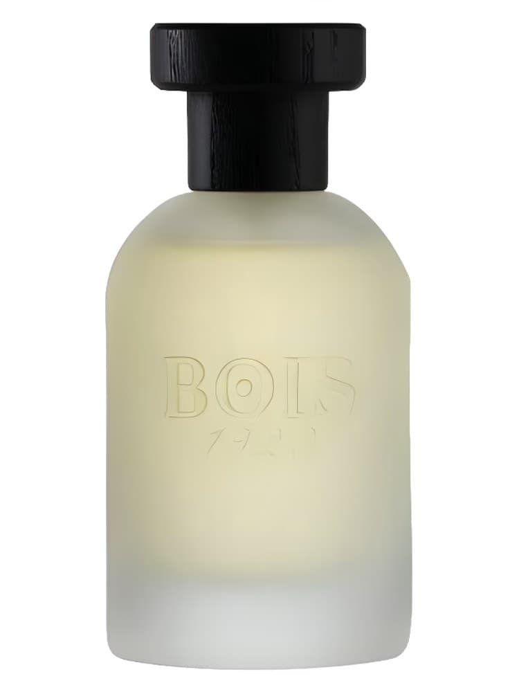 Bois 1920 Vetiver Ambrato