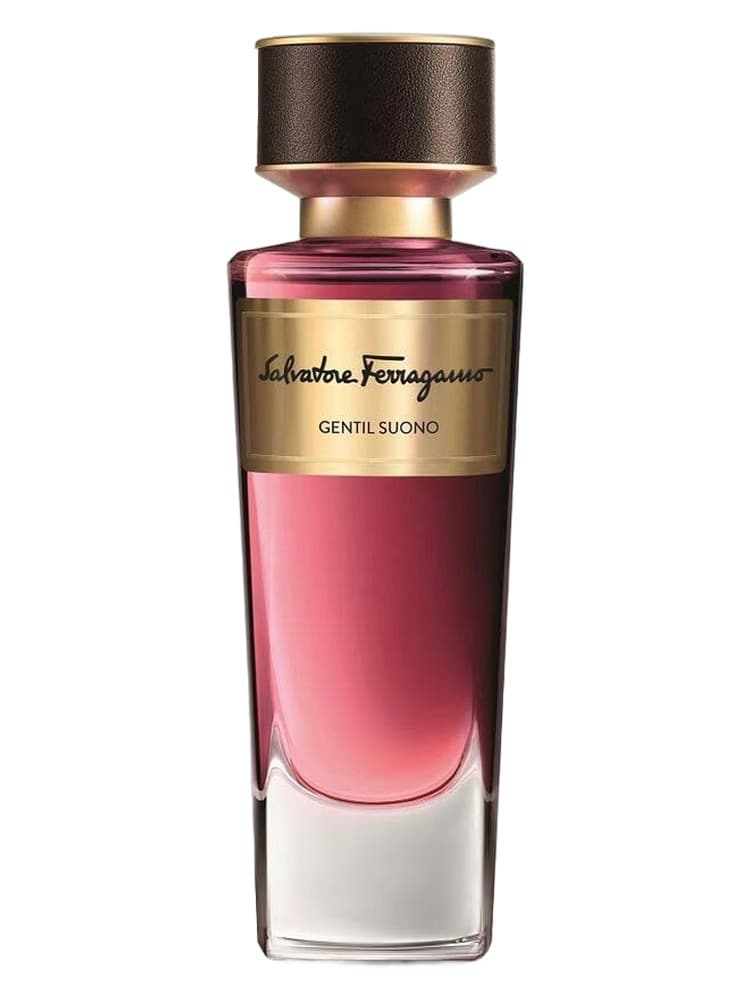 Salvatore Ferragamo Gentil Suono