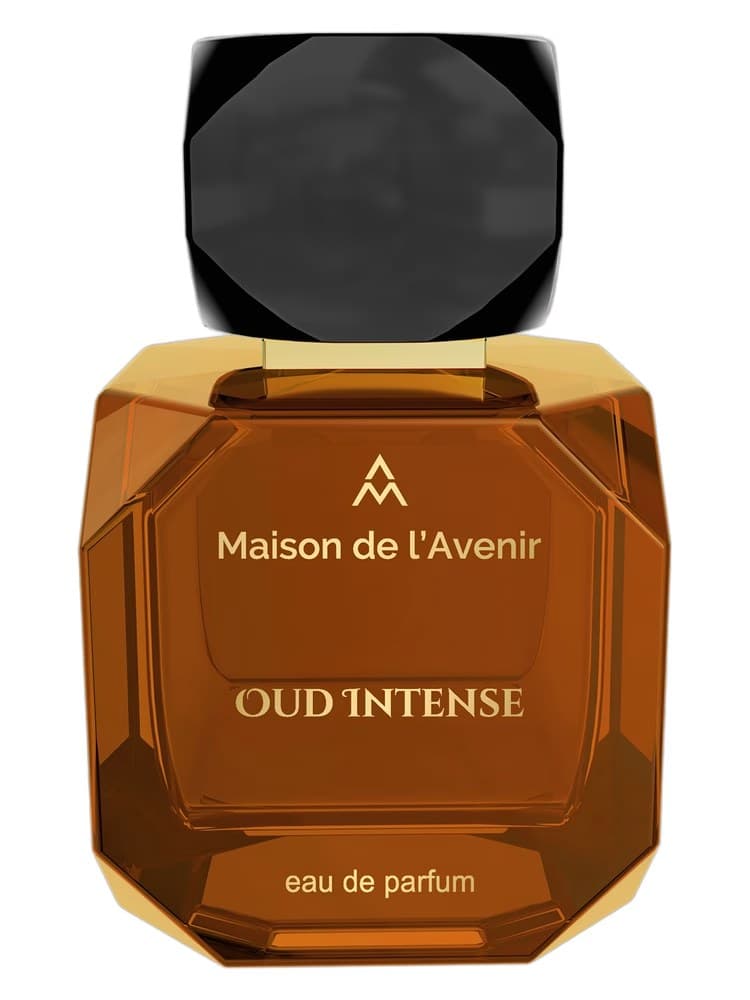 Maison de l'Avenir Oud Intense