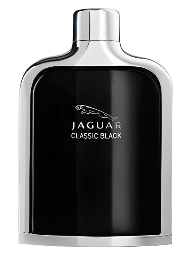 Jaguar Jaguar Classic Black