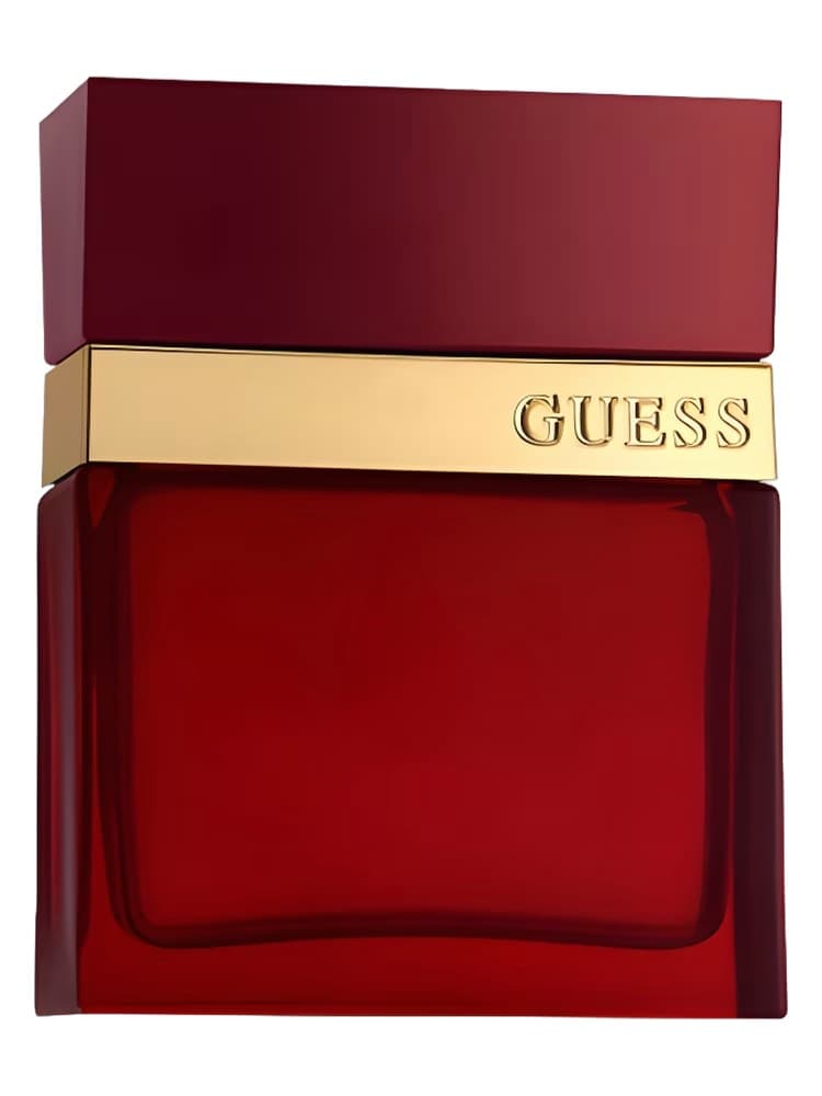 Guess Seductive Red Homme