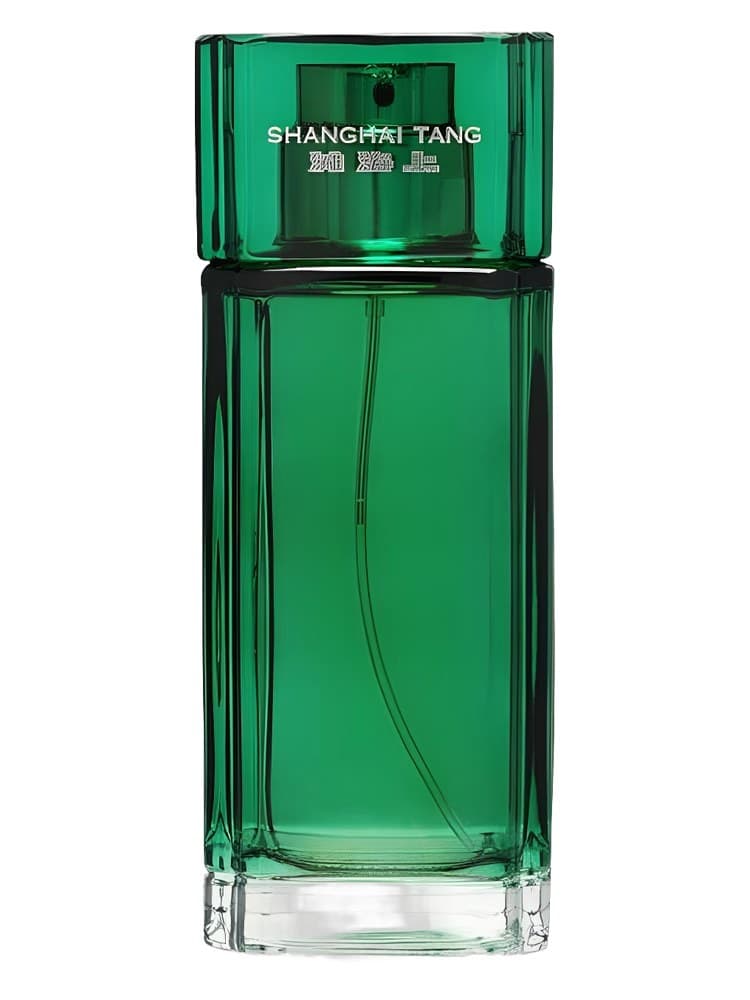 Shanghai Tang Jade Dragon