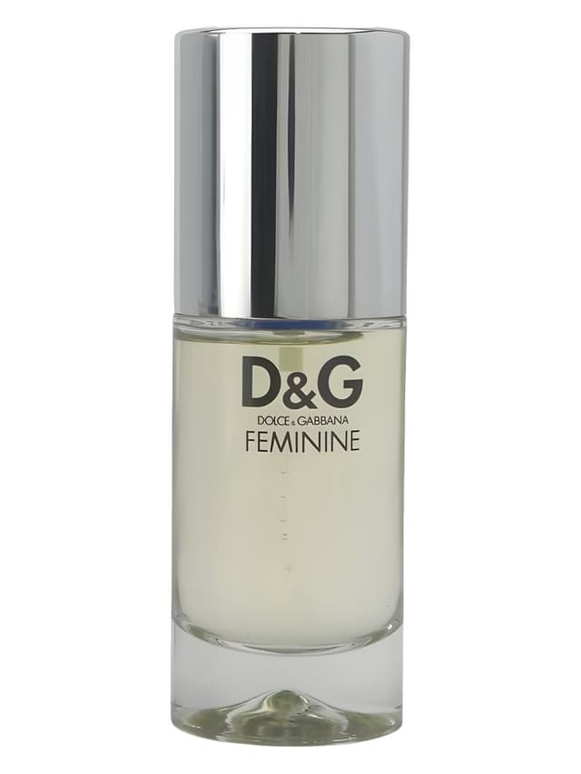 Dolce&Gabbana D&G Feminine