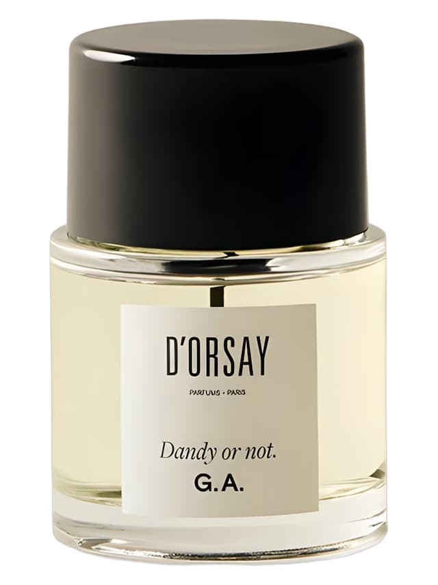 D’ORSAY Dandy or not. G.A.