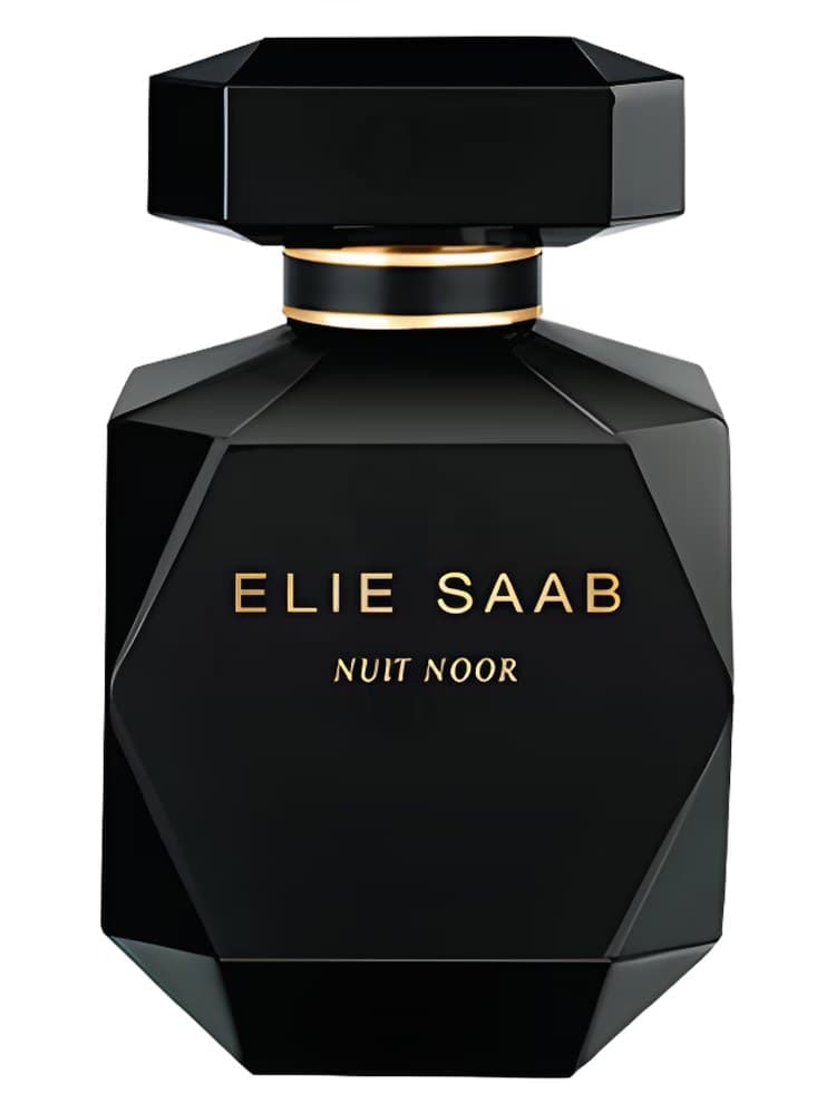 Elie Saab Nuit Noor