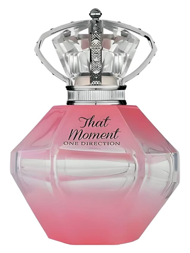 One Direction That Moment