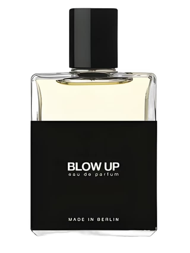 Moth and Rabbit Perfumes Blow Up