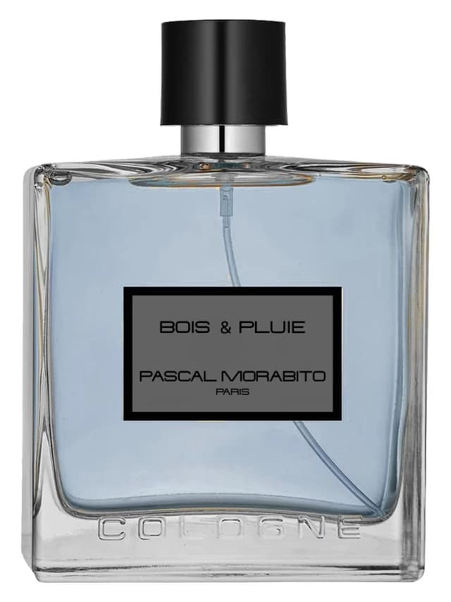 Pascal Morabito Bois & Pluie