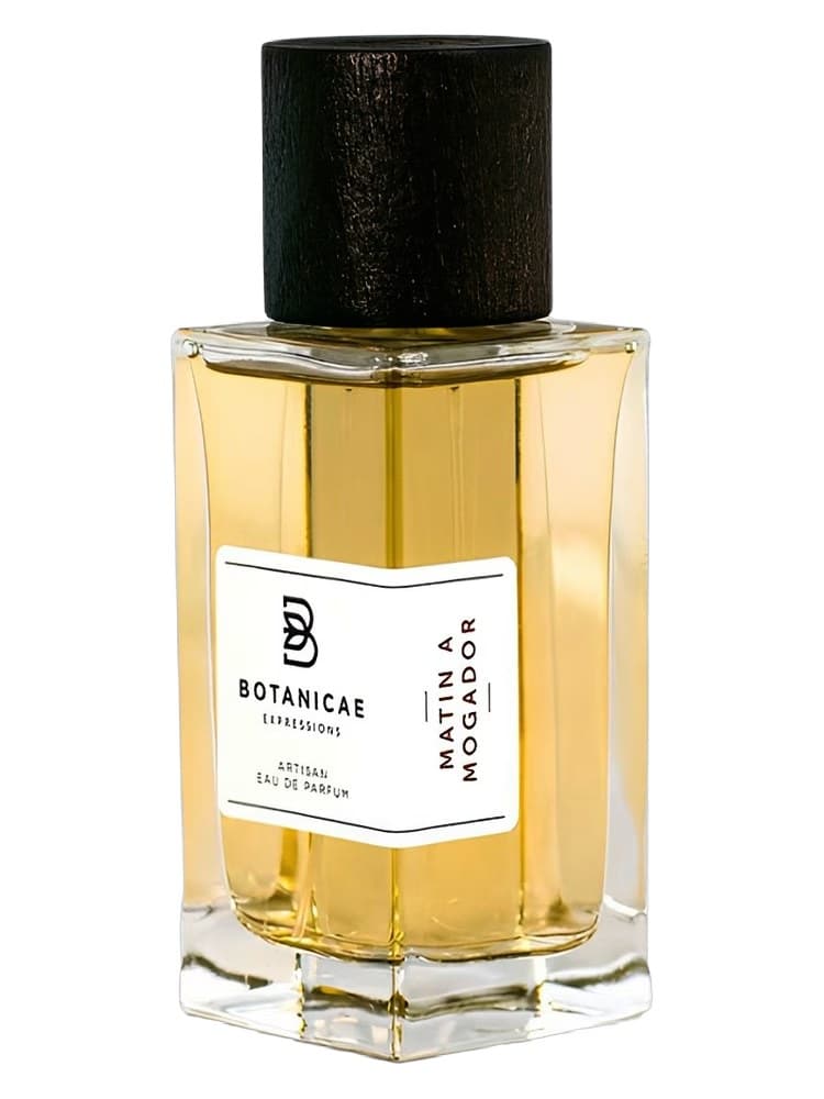 Botanicae Matin a Mogador