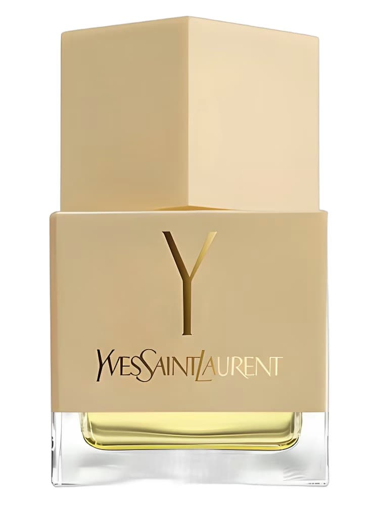 Yves Saint Laurent La Collection Y