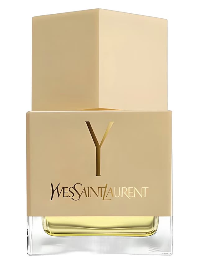 Yves Saint Laurent La Collection Y