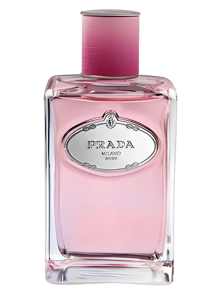 Prada Infusion de Rose