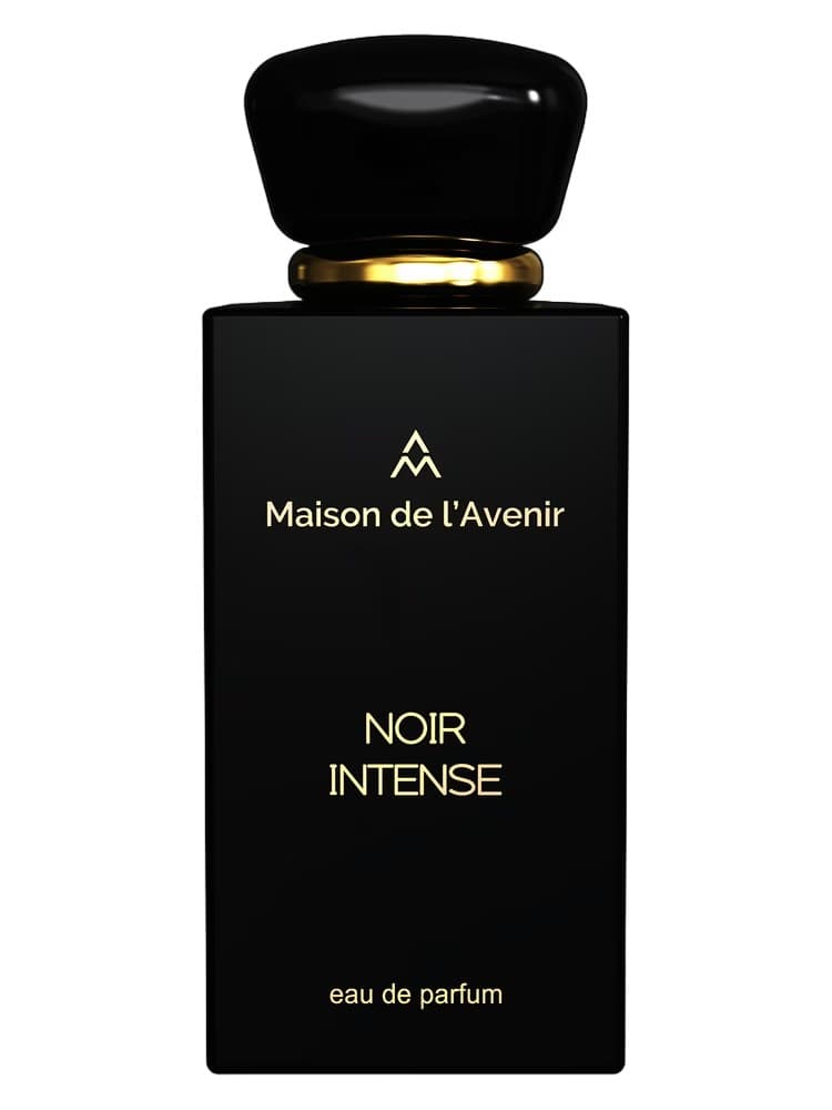Maison de l'Avenir Noir Intense