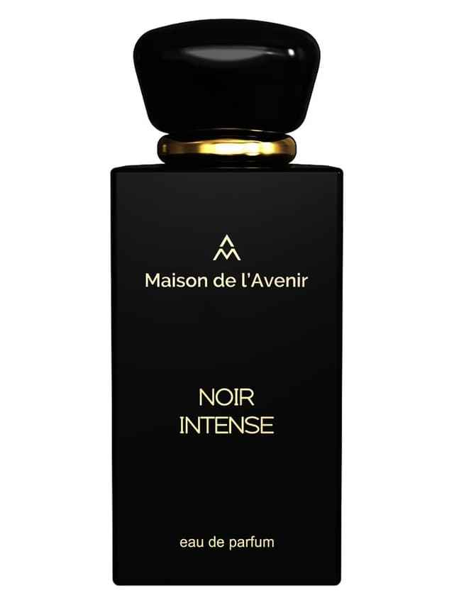 Maison de l'Avenir Noir Intense