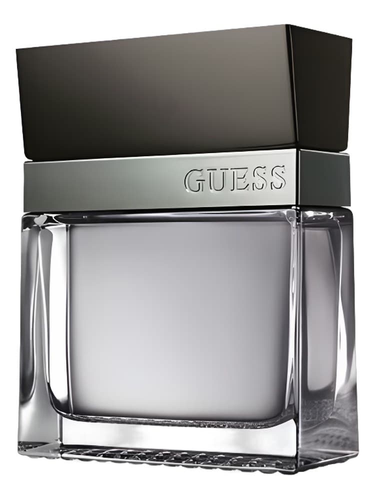Guess Guess Seductive Homme