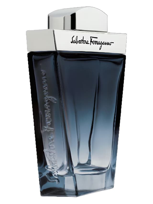 Salvatore Ferragamo Salvatore Ferragamo Subtil Pour Homme