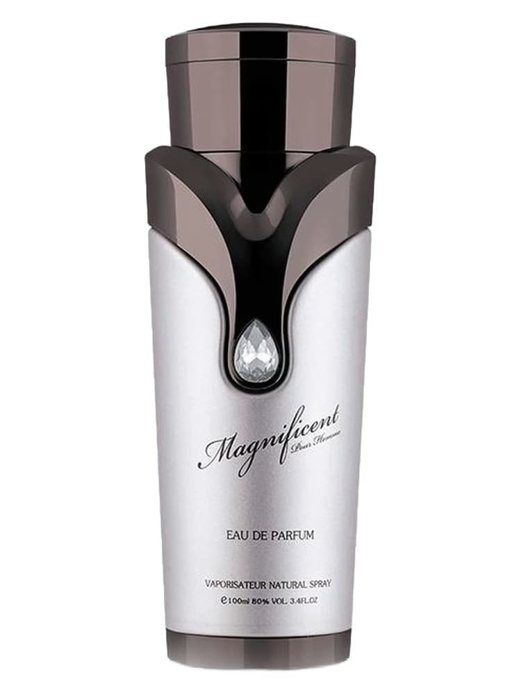 Armaf Magnificent Pour Homme