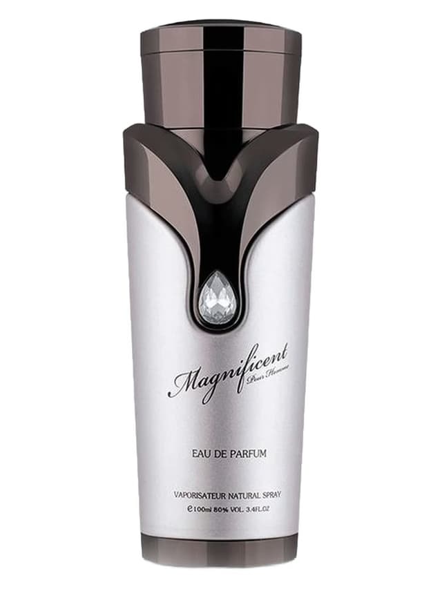 Armaf Magnificent Pour Homme