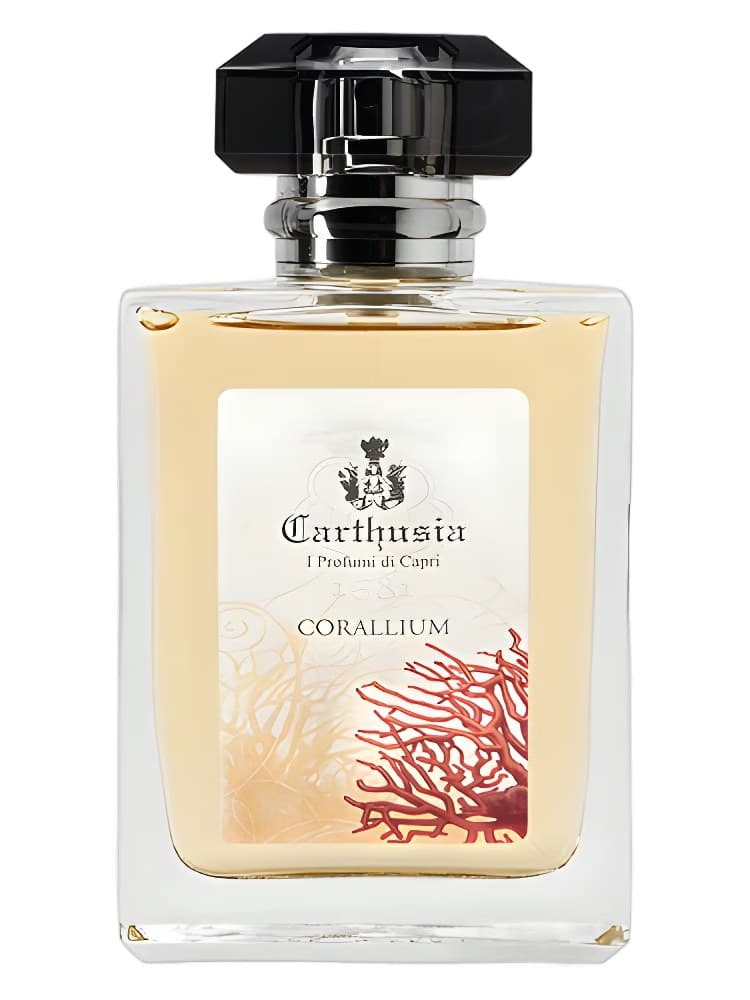 Carthusia Corallium