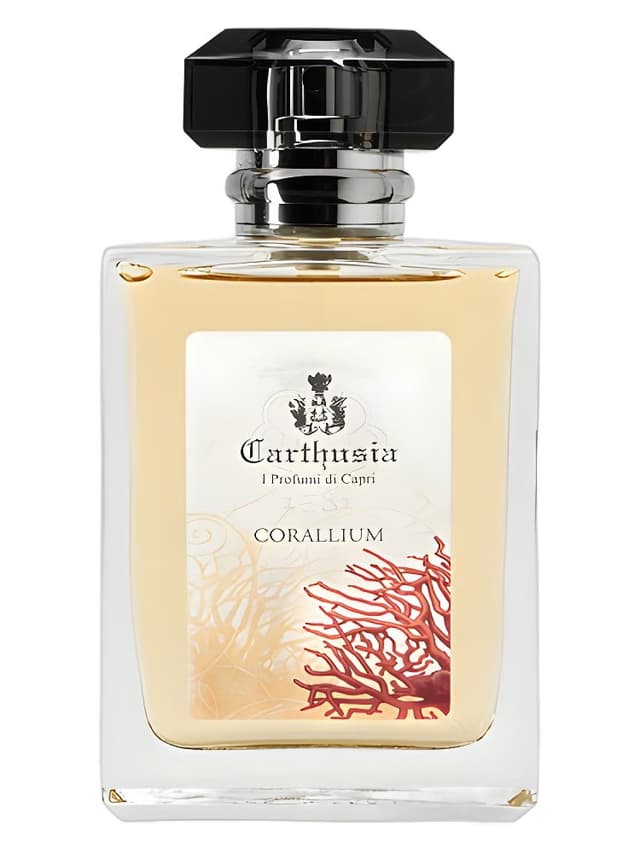Carthusia Corallium