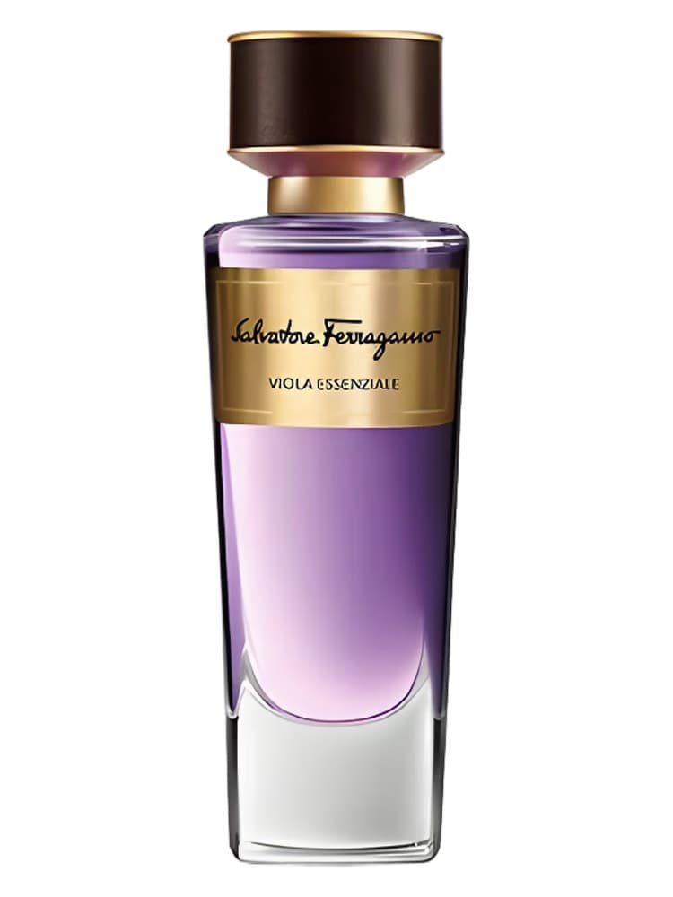Salvatore Ferragamo Viola Essenziale