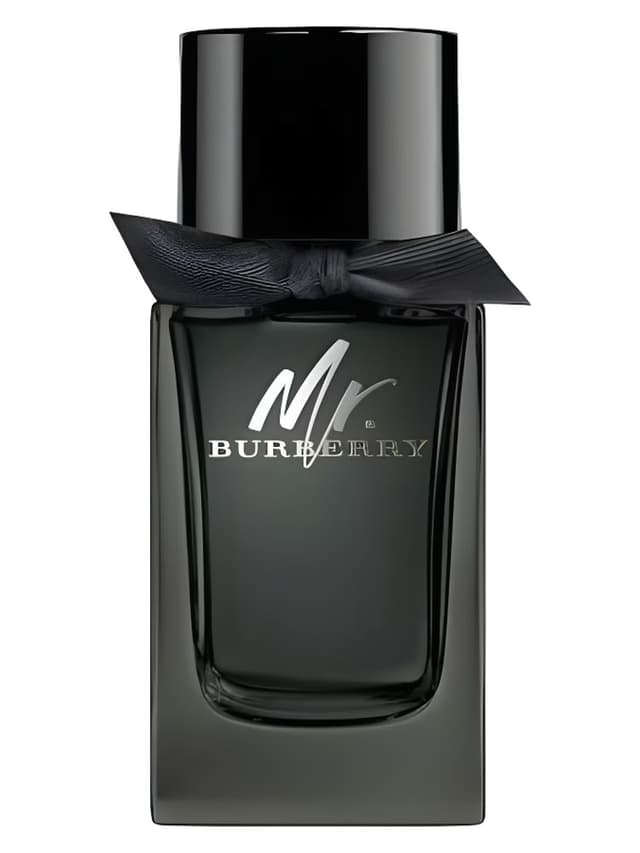 Burberry Mr. Burberry Eau de Parfum