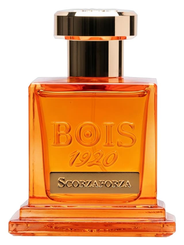 Bois 1920 Scorzaforza