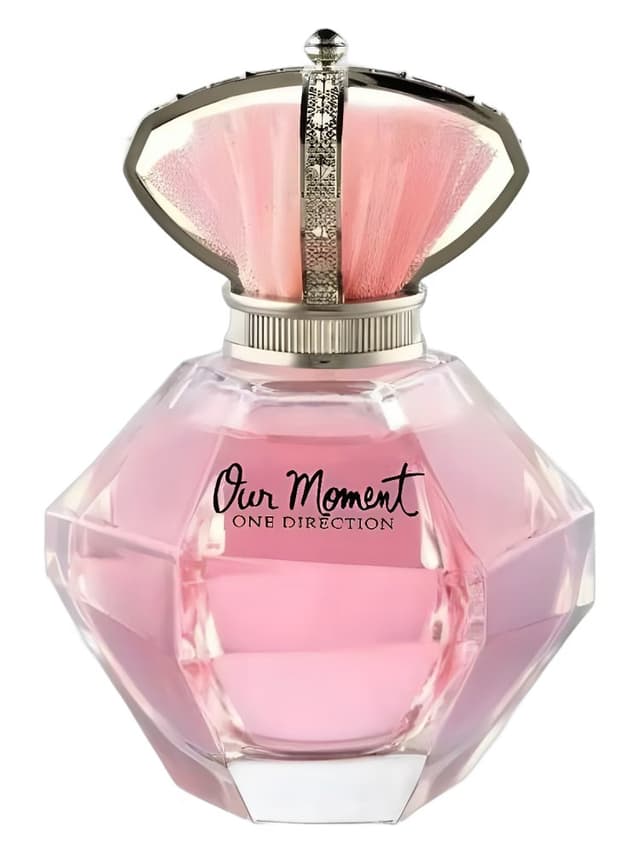 One Direction Our Moment
