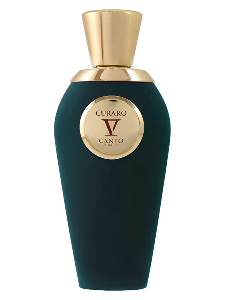 V Canto Curaro