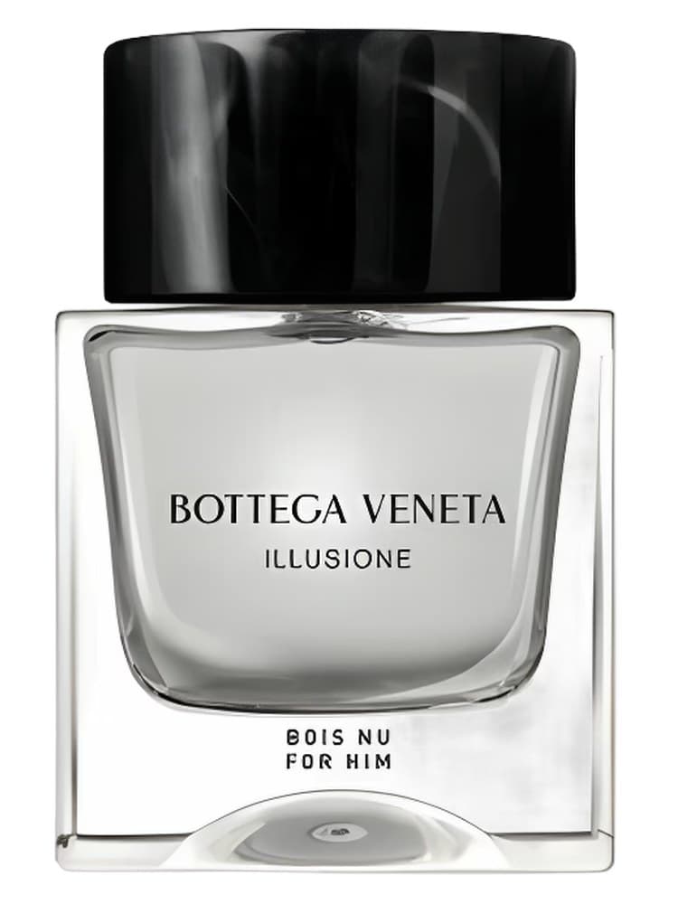 Bottega Veneta Illusione Bois Nu