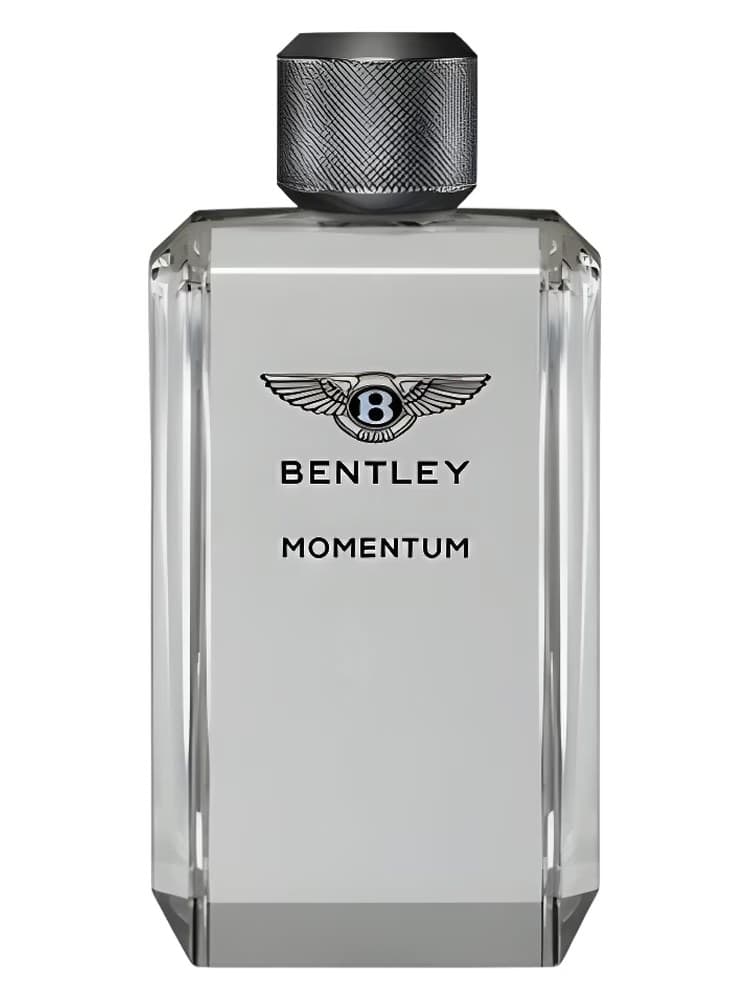 Bentley Momentum